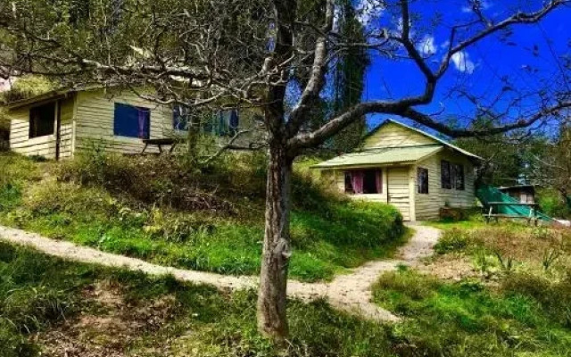 Apple Farms Kufri