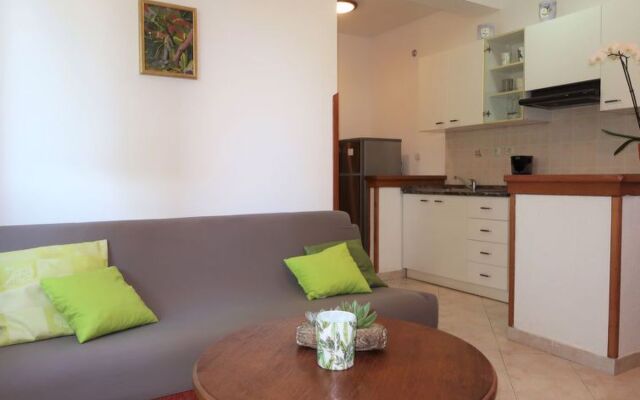 Mirjana (LBN312) 22664