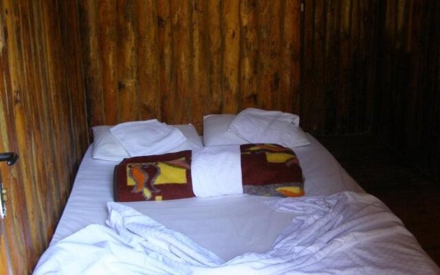 Jungle Bells Hostel