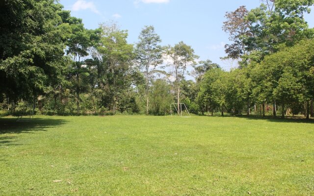 La Habana Amazon Reserve
