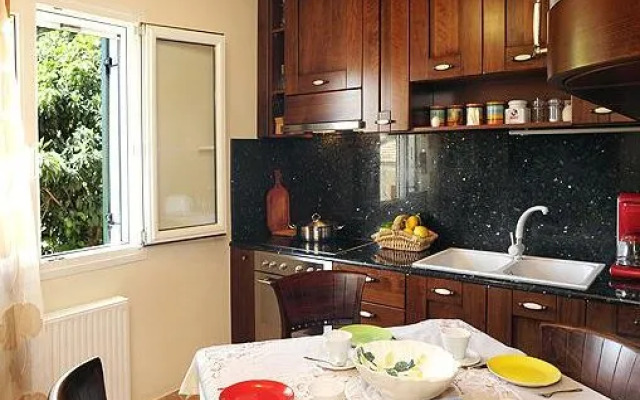 Edem Properties