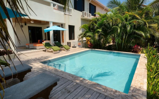 Villa Island Time Gecko