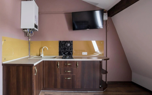 LOFT apartment on Lychakivska street