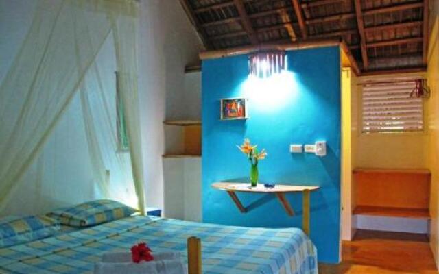 Cabarete Surf Camp