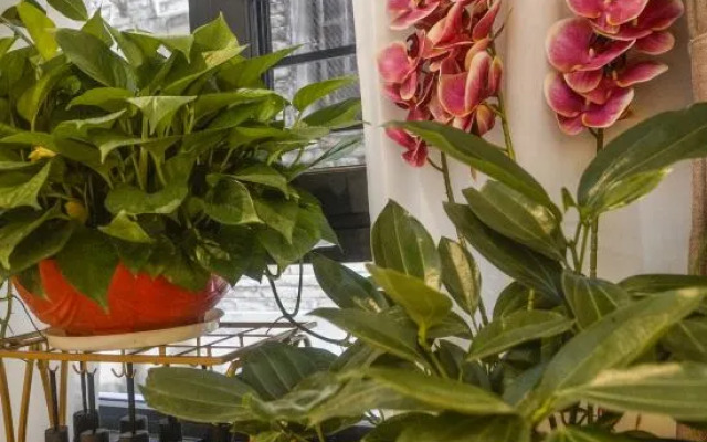 Yinlu Boutique Hostel