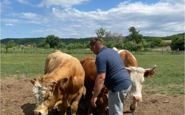 Múltidéző Hagyományőrző Porta