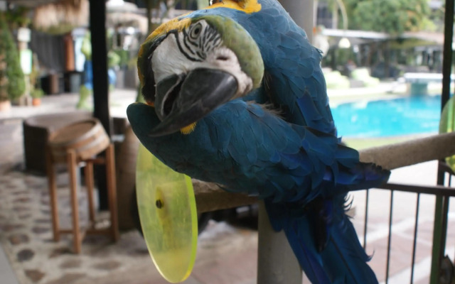 Momento Resort
