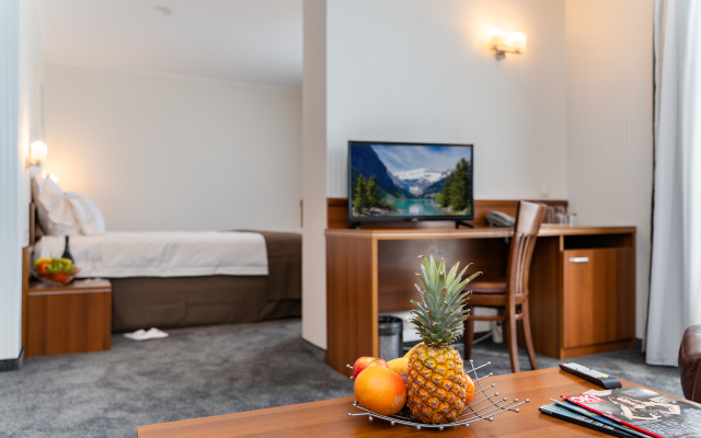 Hotel Panorama
