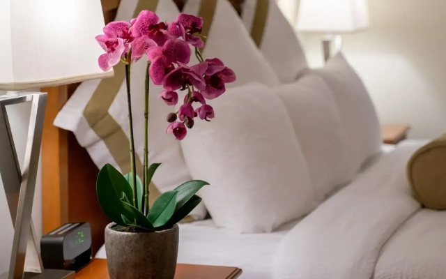 Service Plus Inns and Suites Calgary