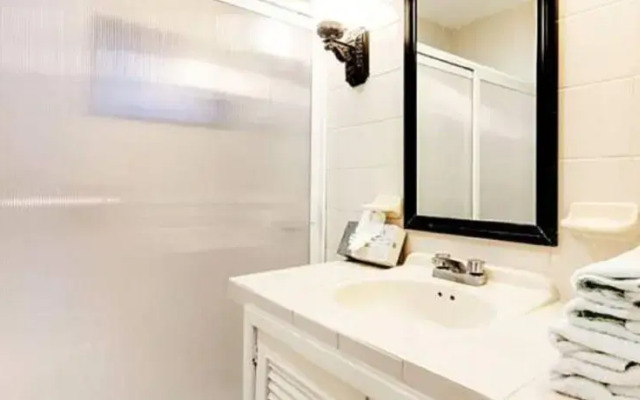 Apartamentos Tortugas