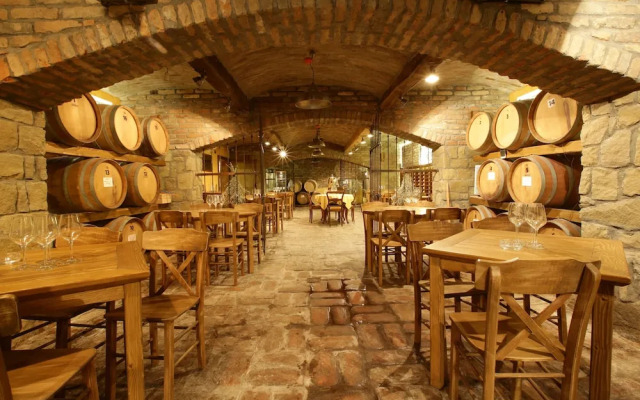 Garni Hotel Chicha - Winery Skrbic