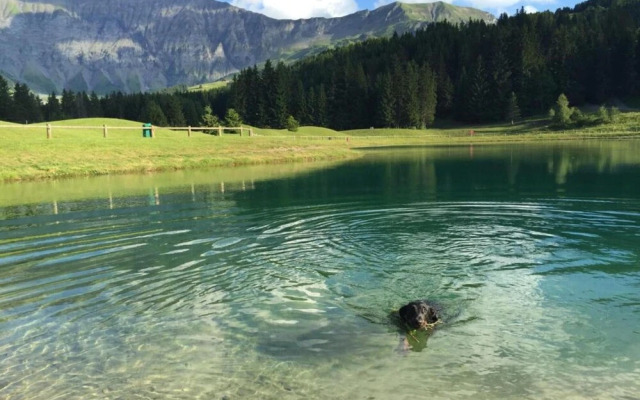 Stylish Chalet in Charming Megeve