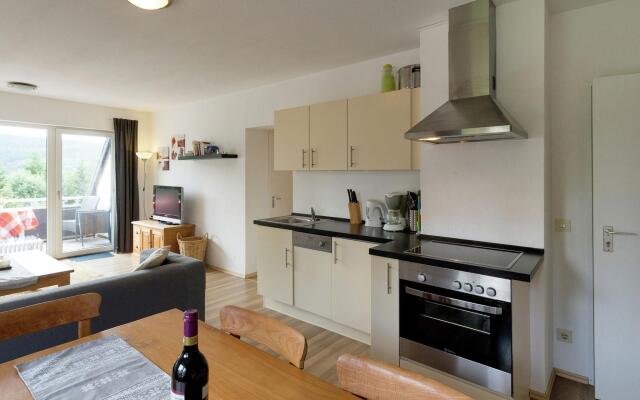 Modern apartment in the Sauerland region with private balcony