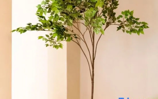 Zhenhe Homestay (Pingjiang Road Guanqian Street Branch)