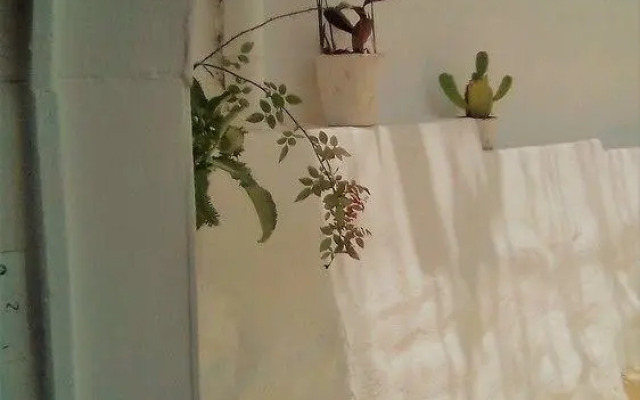 Hotel Lola Atlachinolli