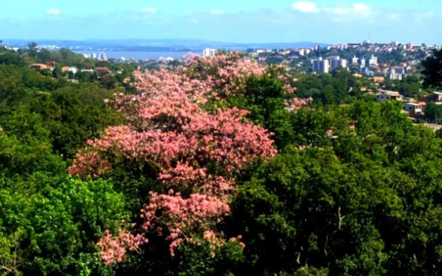 Vila Betânia