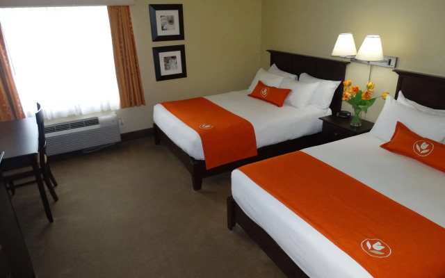 Amsterdam Inn & Suites Sussex