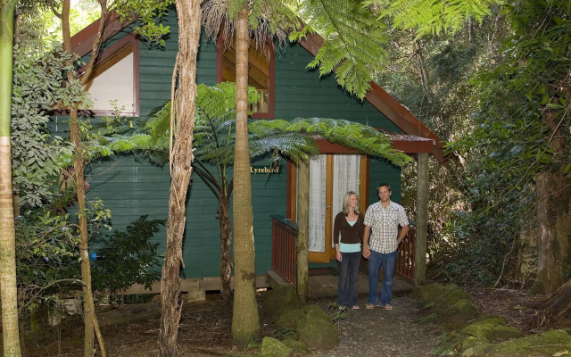 Springbrook Lyrebird Retreat