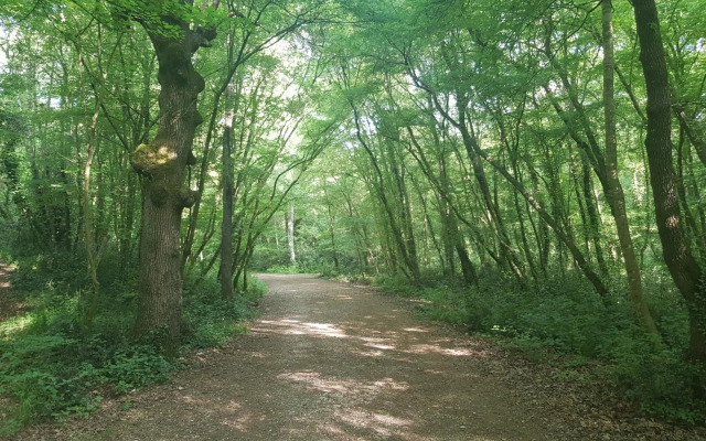 Apartment Dea - Three Bedroom Apartment