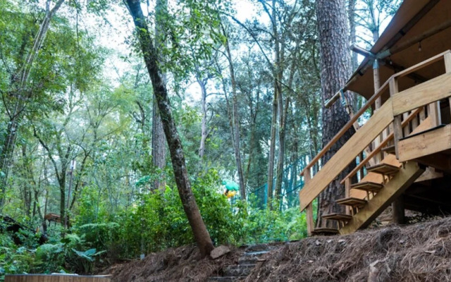 Nuez Incredible Logde in the Forest With Private Jacuzzi