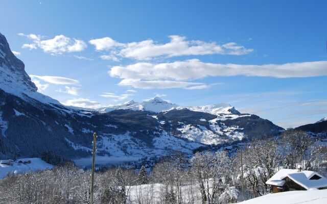 Mountain Chalet With Garden And Parking In Grindelwald