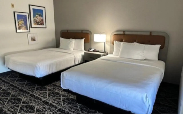 La Quinta Inn & Suites by Wyndham Houston Bush IAH South