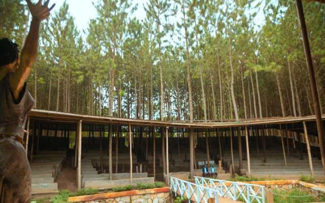 Nyungu Yamawe Forest Park