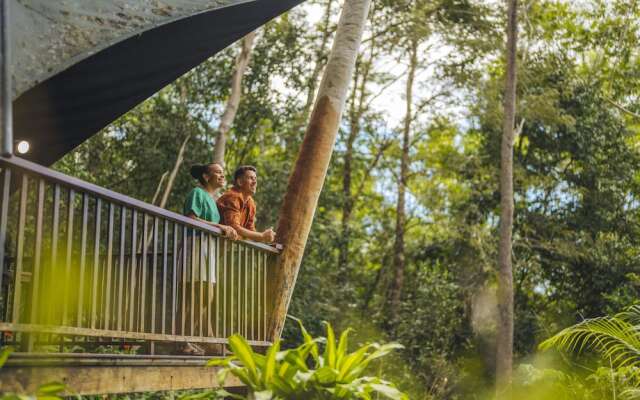 Rose Gums Wilderness Retreat