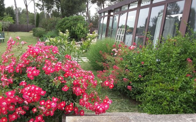 Mas clair de Lune Studios