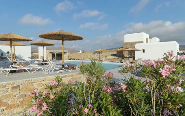 Alirene Mykonos