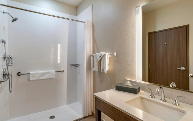 Comfort Inn & Suites Downtown near University