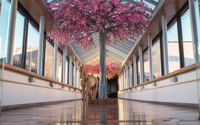 Sheraton Bariloche Hotel