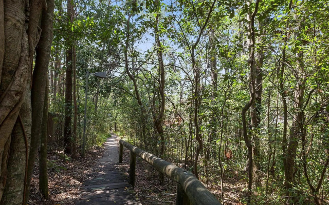 Apartment 1 Attunga Heights 4