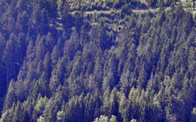 Martina Frey Ferienwohnungen