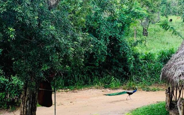 Sigiriya Rock Hide