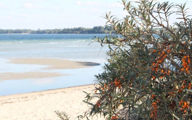 Warnkenhagen Garden Bungalow