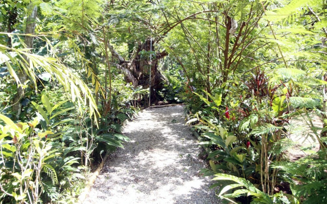 Samana Tropical Village