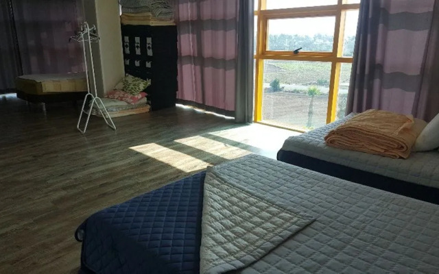 The Freedom - Hostel