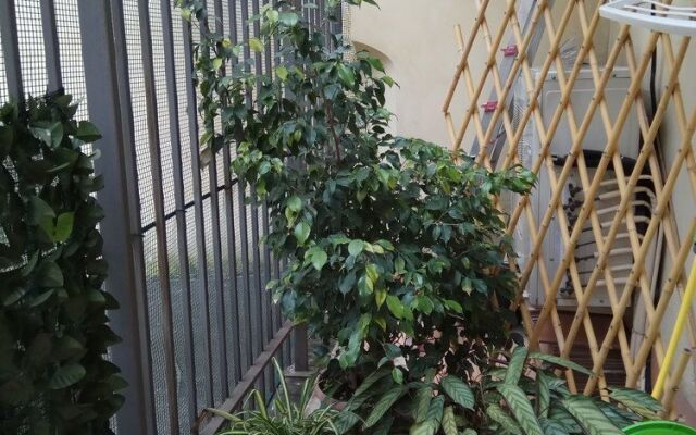 B&B degli Amalfitani