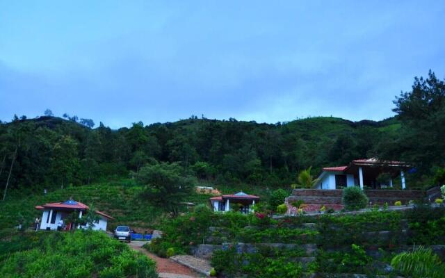 Misty Haven
