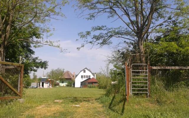 Andrea - Duna Delta Tours