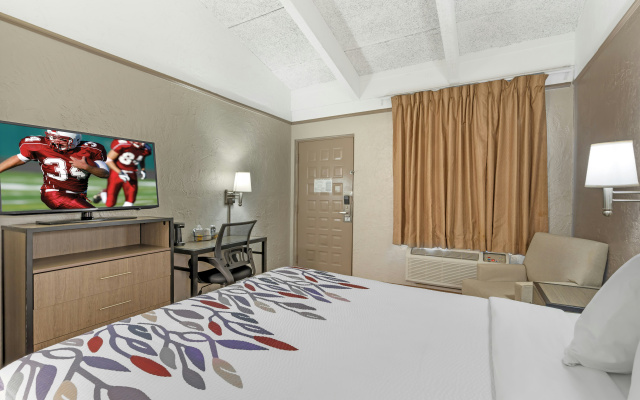 Red Roof Inn Tampa Bay - St Petersburg - Image 7