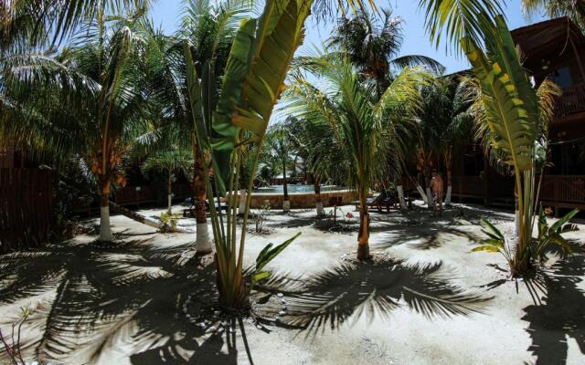 Coconut by ÓOL Hotels