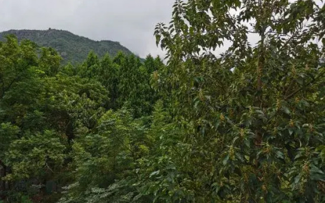 Xianju wanjing building farmhouse