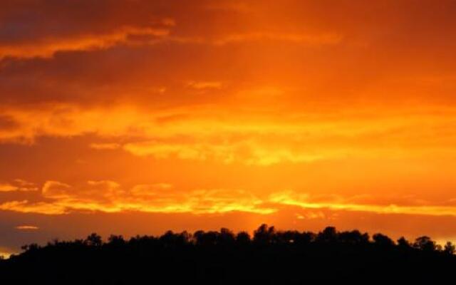 Ms. Kitty's Country Inn