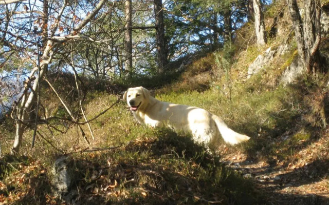 La Casa della Coccinella