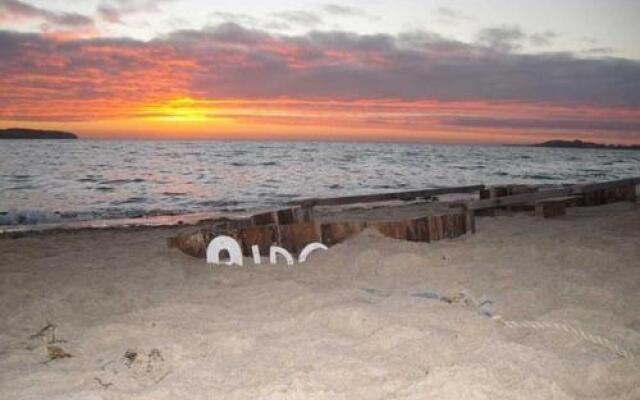 Schilfdachvilla Zeesboothaus WE308