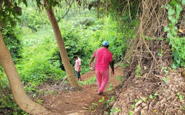 PromisedLand Tayrona Cabins