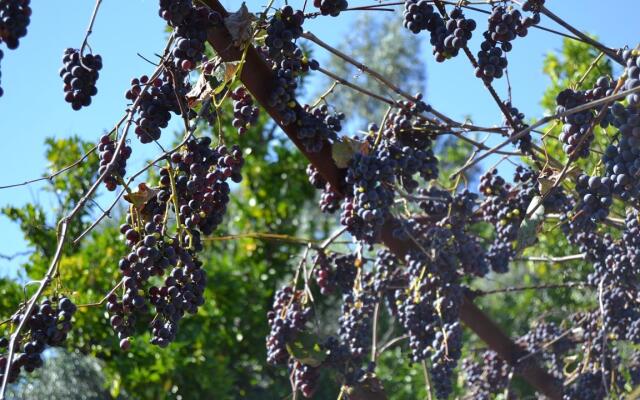 Casa Dos Tres Irmaos