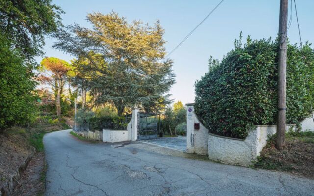 House Mistral Corsanico